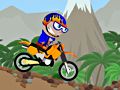 Gra Barny The Biker South American Challenge  w Internecie