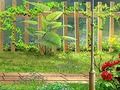 Gra Sekrety Garden Hidden Numbers  w Internecie