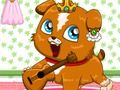 Gra Pet Ruletka  w Internecie