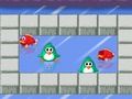 Gra Penguins vs Ryby  w Internecie