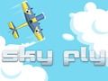 Gra Sky Fly w Internecie