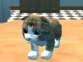 Gra Symulator CAT: Kitty Craft! w Internecie