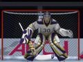 Gra Hockey Shootout w Internecie