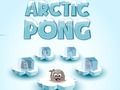 Gra Arctic Pong w Internecie