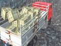 Gra Kierowca ciężarówki Offroad  w Internecie