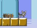 Gra Pan Jump Husky  w Internecie