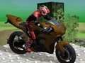 Gra Testy rowerowe: Wasteland  w Internecie