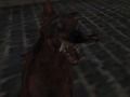 Gra Nazistowska Armia Zombie  w Internecie