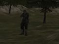 Gra Agencja FPS: Forest  w Internecie