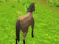 Gra Symulator konia 3D  w Internecie