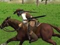 Gra Symulator jazdy konnej  w Internecie