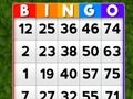 Gra Bingo w Internecie