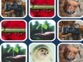 Gra Problem z pamięcią  w Internecie