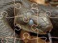 Gra Tajemnicze węże: puzzle  w Internecie