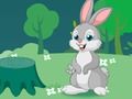 Gra Rabbit Bubble Shooter w Internecie