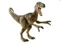 Gra Wyzwanie pamięci dinozaurów  w Internecie