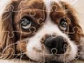 Gra Zabawne puzzle z psami  w Internecie