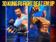 Gra 3d kung fu walka pokonała w Internecie