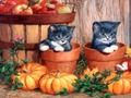 Gra Malowanie Halloween  w Internecie