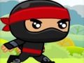 Gra Ninja w Internecie