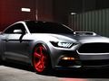 Gra Codzienny Mustang w Internecie