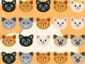 Gra Cute Kitty Match 3 w Internecie