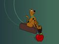 Gra Scooby Doo Snack Dash  w Internecie