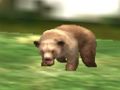 Gra Safari Animal Hunter w Internecie