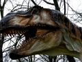 Gra Wyrzynarka T-Rex Dinosaur  w Internecie