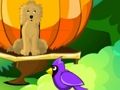 Gra Ucieczka z ogrodu kwiatowego  w Internecie