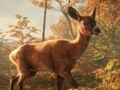 Gra Safari Jeep parking Sim Sim: Dżungla Przygoda w Internecie