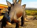 Gra Układanka dinozaurów Stegozaur  w Internecie