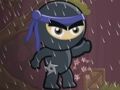 Gra Mroczny Ninja  w Internecie