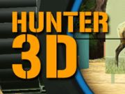 Gra Hunter 3d w Internecie