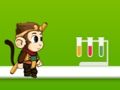 Gra Jungle Monkey Run w Internecie