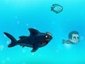 Gra Angry Shark Miami w Internecie
