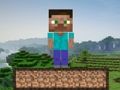 Gra Przetrwanie w Minecrafcie  w Internecie