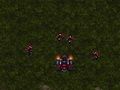 Gra Starcraft 3  w Internecie