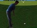 Gra Flash Golf 3D  w Internecie