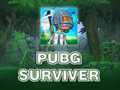 Gra Ocalały z PUBG  w Internecie
