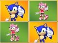 Gra Sonic Memory dopasuj w Internecie
