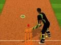 Gra Cricket Ciasto Wyzwanie  w Internecie