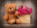 Gra Puzzle słodkie pluszowe misie  w Internecie