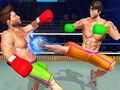 Gra Kulturysta Ring Fighting Club Wrestling  w Internecie