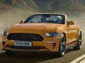 Gra Specjalna zjeżdżalnia Ford Mustang California  w Internecie