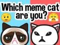 Gra Jakim kotem memowym jesteś?  w Internecie