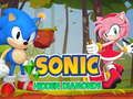 Gra Sonic ukryte diamenty  w Internecie