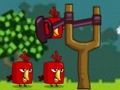 Gra Angry Birds kontra świnie w Internecie Gra Angry Birds kontra świnie w Internecie