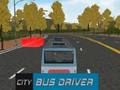 Gra Kierowca autobusu miejskiego  w Internecie