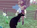 Gra Symulator jelenia 3D  w Internecie